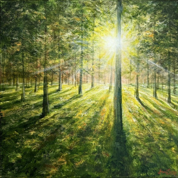 Skog i motljus, originalmålning i olja 40x40 (kopia)